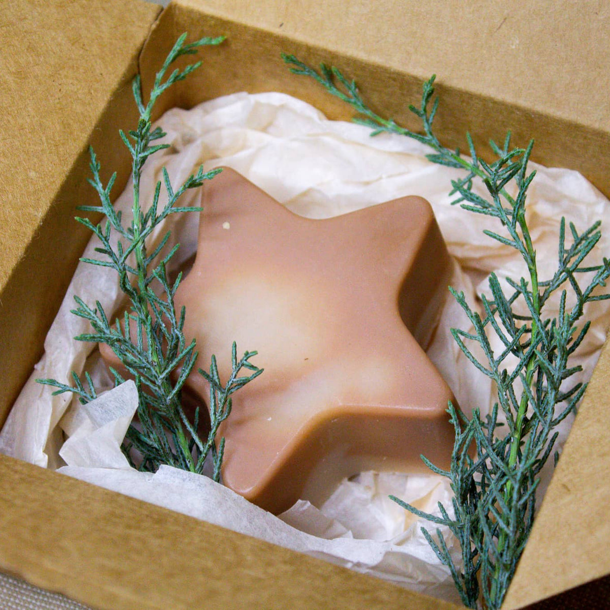 Weihnachtsstern &