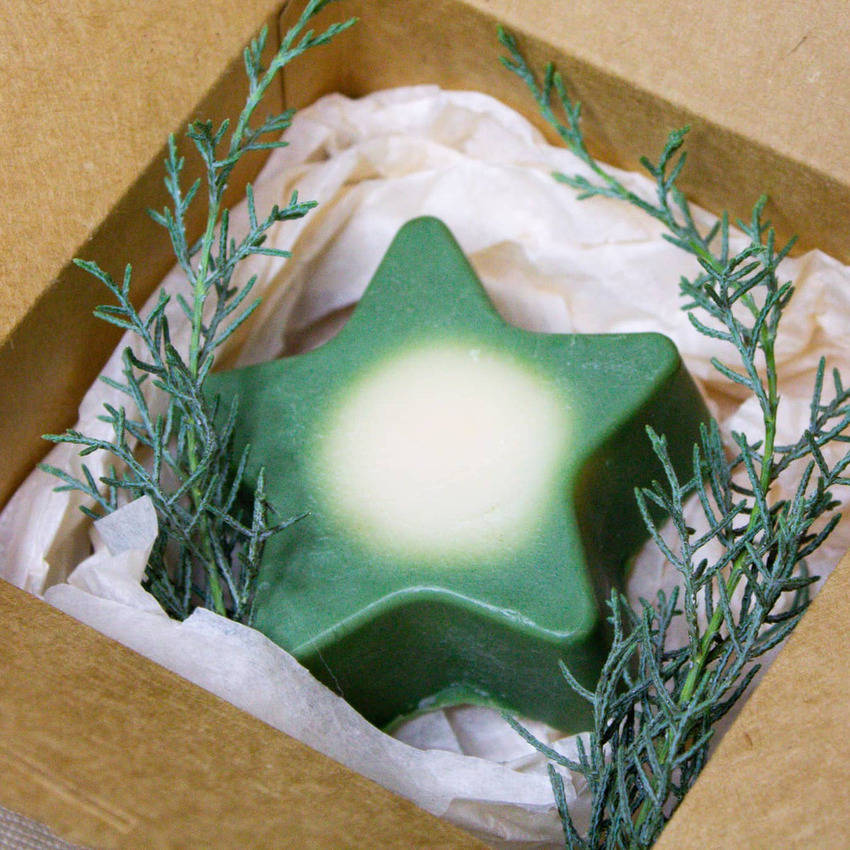 Weihnachtsstern &