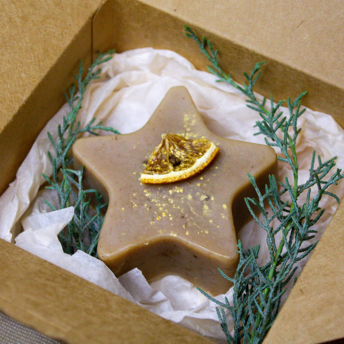 Weihnachtsstern &