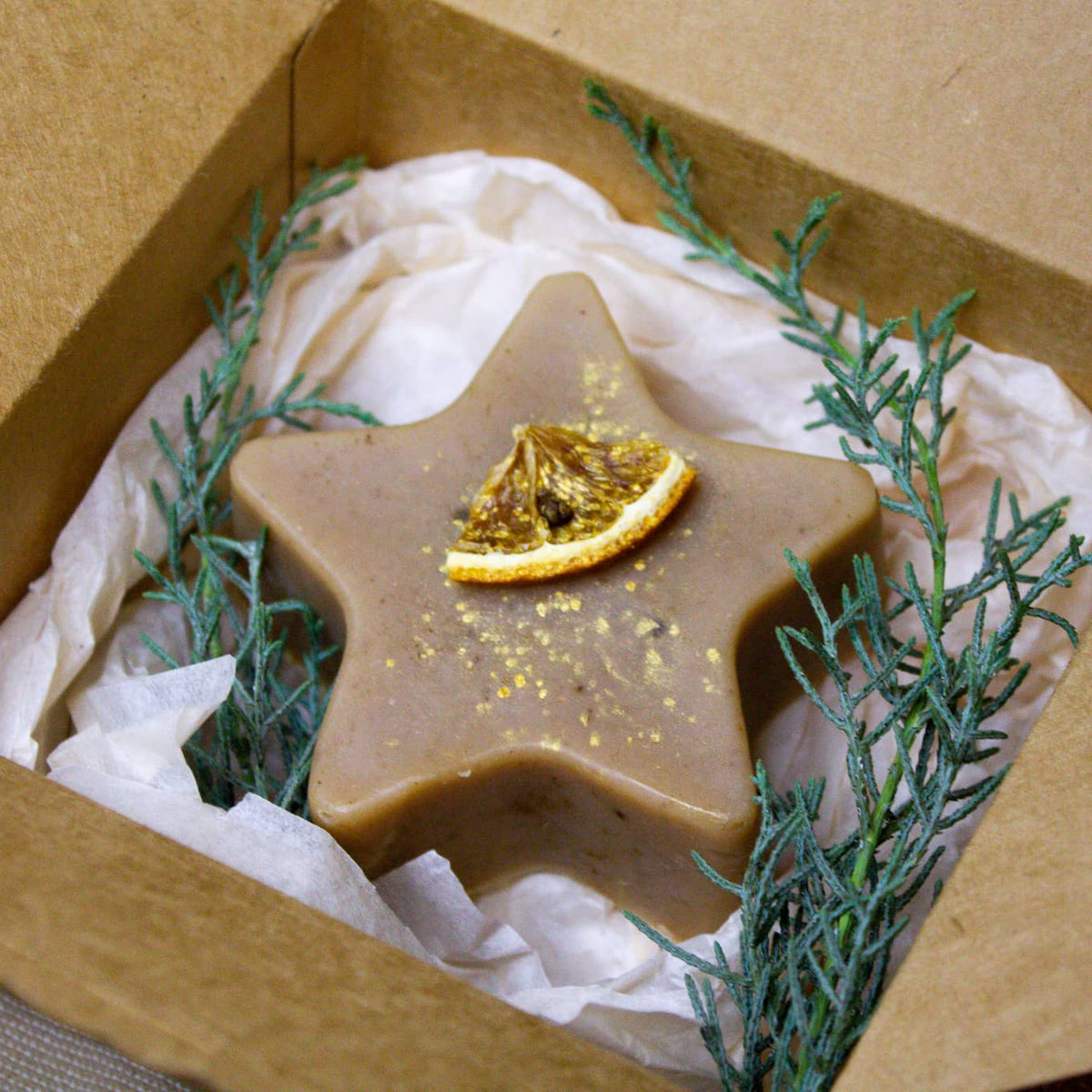 Weihnachtsstern &